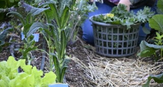 Blending Land Care with Self-Care