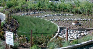 The Alchemy of Watershed Restoration