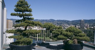 The Gardens of Lake Park