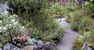 A Garden of Small Miracles