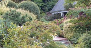 A Garden for All Seasons