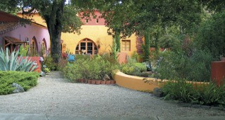 Front Gardens of Palo Alto