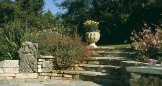 A Mediterranean Garden in Seattle