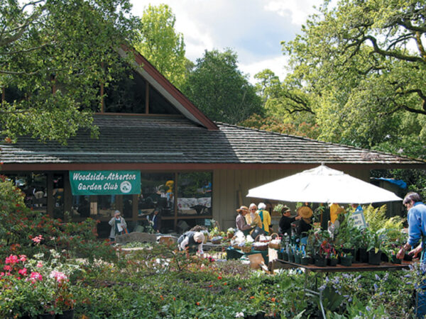 Pacific Horticulture | The Woodside Library Native Plant Garden