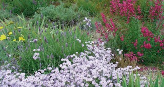 New Palo Alto Demonstration Gardens