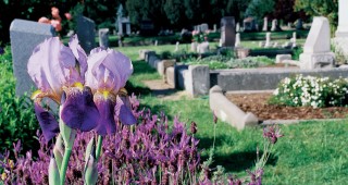Sacramento’s Hamilton Square Garden