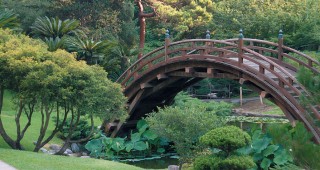 California Japanese-Style Gardens: Tradition and Practice