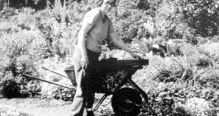 Barbara Worl: A Profile