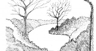 Making Gardens Seem Bigger, Part I