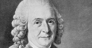 Linnaeus at 300