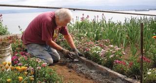 Gardens Tell the Other Story of Alcatraz