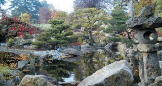 Highline SeaTac Botanical Garden