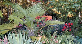 It’s My Garden, and I’ll Try If I Want To!