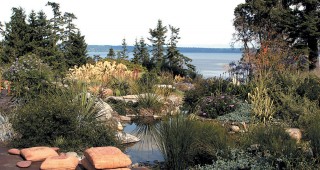 From Forest to Bluff, Shade to Sun: Heronswood to Windcliff