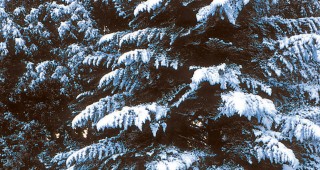 The Changing Western Climate: How It’s Likely to Affect You, Your Garden, and the Climate Zone Maps You Depend Upon