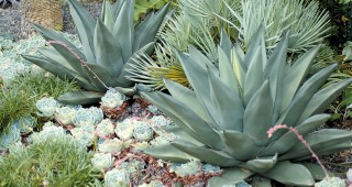 When It Pours…Let Nature Do the Watering