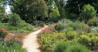 The Ruth Risdon Storer Garden: Evolution of a Valley-Wise Garden