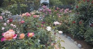 There’s Magic Behind Those Walls