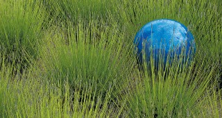 Telling Tales: The Heart of Garden Photography