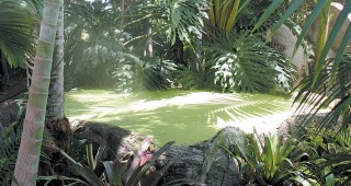 A Tropical Eden with a Mission