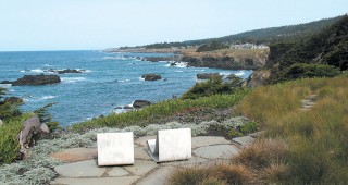 A Wind-blown Garden on a Sea Ranch Bluff