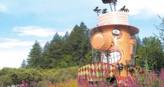 The Melissa Garden: A Sanctuary and Season of Honey Bees