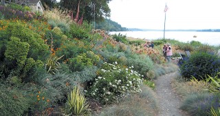 Creating a Garden on the Sound