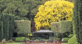 Driving Miss Worn, and More