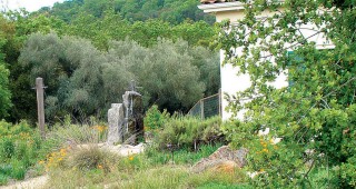 Casa Dos Rios Gardens: Mainly for Wildlife