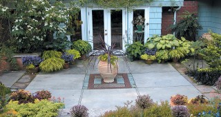 The Curator’s Garden