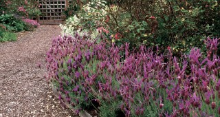 Through the Photographer’s Eye: Finding a Sustainable Aesthetic