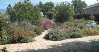 History of the West in an Altadena Garden