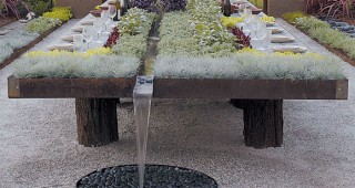 Future Feast in the Garden of Flow/Accumulation