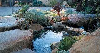 The Sustaining Garden