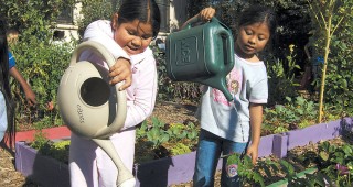 Kids Cultivating Healthy Futures