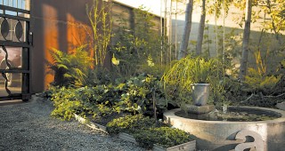 Downsizing: It Just Suits Me