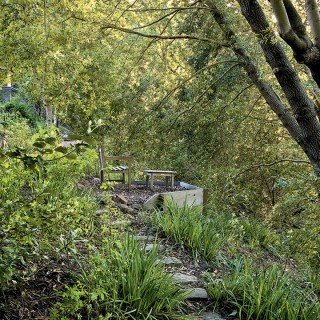 The Evolution of a Native Garden