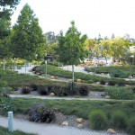 A Beautiful Landscape for California