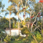 The Enchanted Hacienda: An Island of Biodiversity