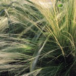 Climatic Bait & Switch