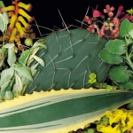 Putting It All Together: a Day with Plant Experts