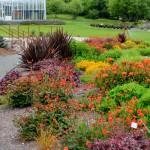 Humboldt Botanical Gardens