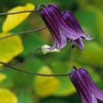 Small Spaces – Big Impact!