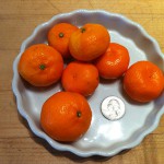‘Kishu’ Mandarins