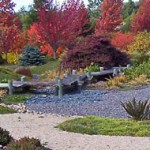 Noriko Paints a Garden