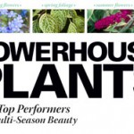 Powerhouse Plants