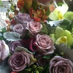 The Northwest Flower & Garden Show takes a Bow