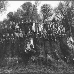 Brand New Ancient Forests