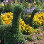 Color Life Brilliant at Seattle Children’s PlayGarden
