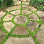 Who Doesn’t Love Touring Gardens?